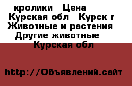 кролики › Цена ­ 500 - Курская обл., Курск г. Животные и растения » Другие животные   . Курская обл.